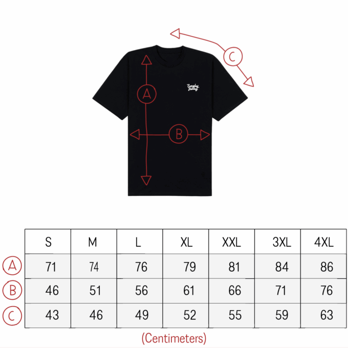 Everyday Holiday T-shirt Sizes Rozmiarowka